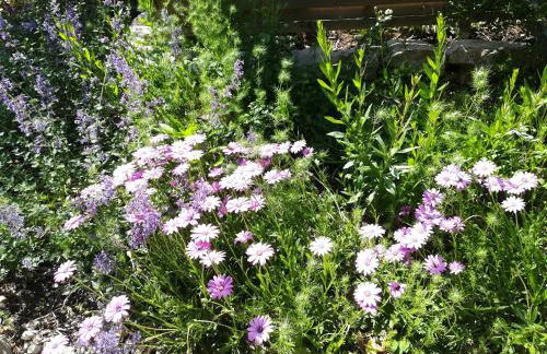 Chez Karine et Julien - Photo 22