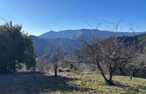 Le Châtaignier - Foto 18