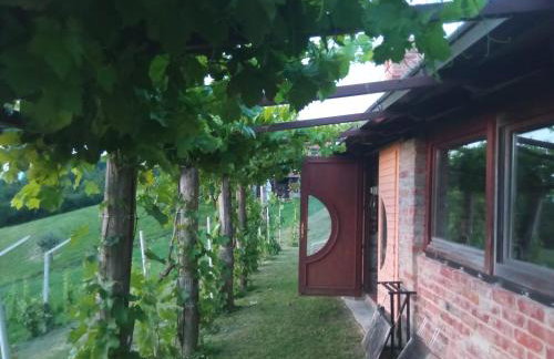 Holiday house Green hill in Zagorje - Foto 19