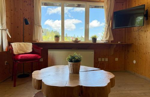 Mitten auf dem Feldberg Panorama Apartment Bergglück - Foto 39