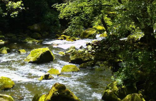 Ferienwohnung ehemaligen Schäferhof - Foto 34