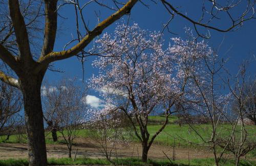 La Ca' Tòrta - Rustico ristrutturato - Photo 24