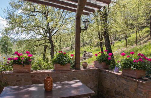 Podere Piandicava - Foto 14