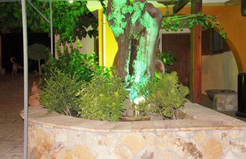 Stone Guesthouse - Foto 23