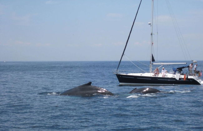 Seacity View - Foto 47