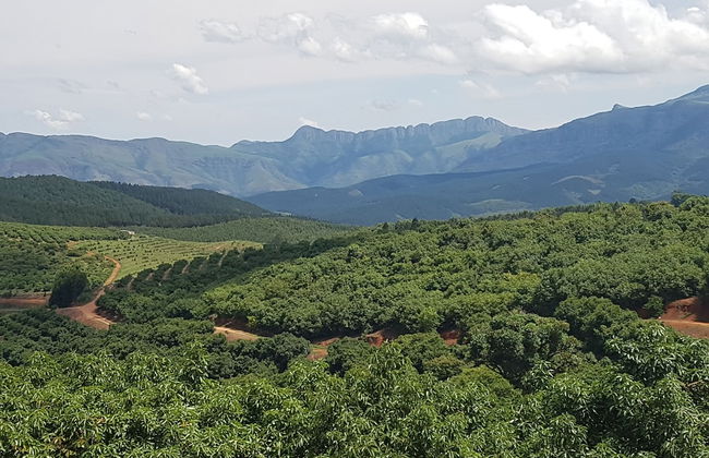 Sherwood's Country House - Foto 55