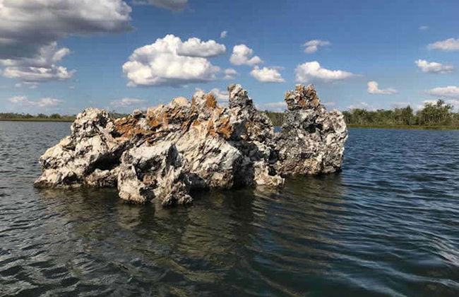 Isla del Bananal y Parque del Cantão en 3 días - Foto 2