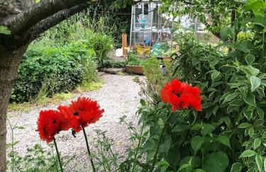 Escape To The Country @ Bron Offa Bach - Foto 29