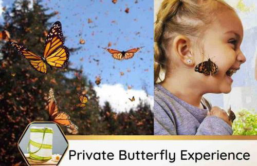 The True Badger Honey House - Foto 10