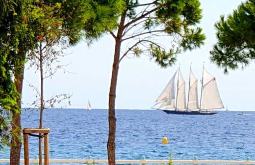 Garden and beach sea view apartment Cannes - Foto 17