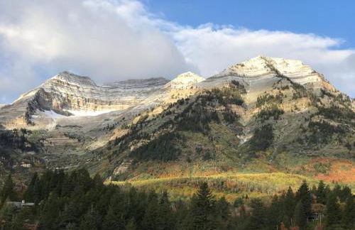 OVER THE RIVER AND THROUGH THE WOODS - Foto 36