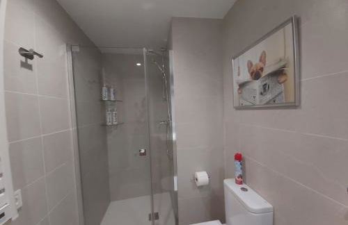 To Be (2B) in Malaga - Photo 19