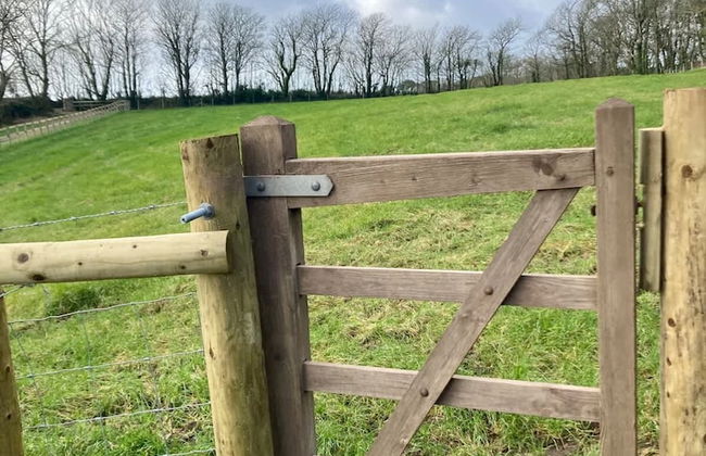 Secluded Cottage With hot tub - Foto 18