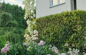 Willa w Kórniku - blisko Poznania - Foto 46