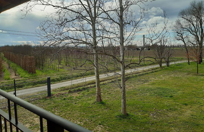 B&B Santa Maria di Lorgana - Foto 23