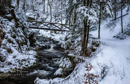 Ferienwohnung Sohnrey für 4 Gäste, Titisee-Neustadt - Foto 18