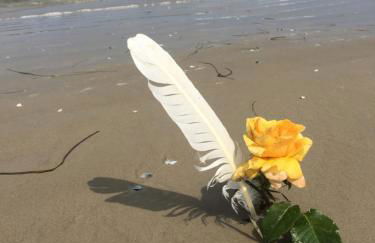 Ferienhaus mit Terrasse - Insel Usedom - Foto 42