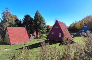 Kolorowe Wzgórze Zagórze - Foto 41