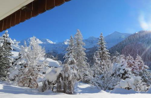 Chalet Gypaète - Foto 6