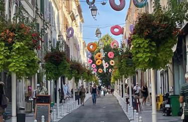 La Perle de Toulon, grand appartement tout confort, idéalement situé - Foto 31