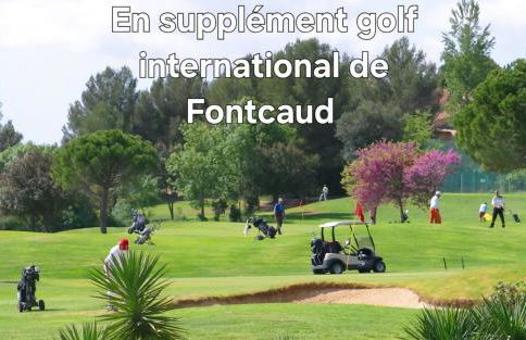 Magnifique appartement 4 étoiles piscine 2 min de Montpellier - Foto 29