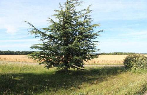 Gîte proche de Giverny - Foto 34