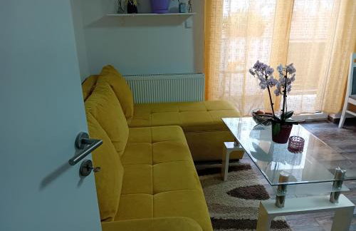 Apartmani Ani - Foto 44