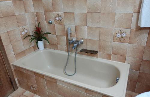 Eleonora d Arborea in Nurachi - Foto 32