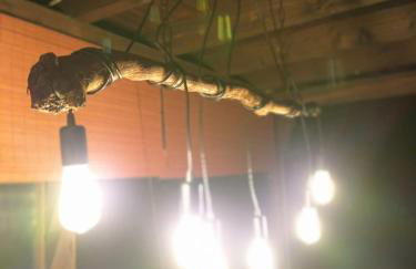 Weingut im Moselkrampen - Foto 18