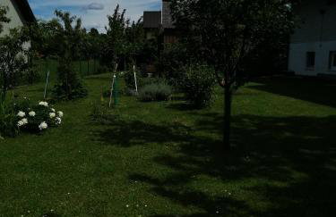 Apartman Sunce - Foto 8