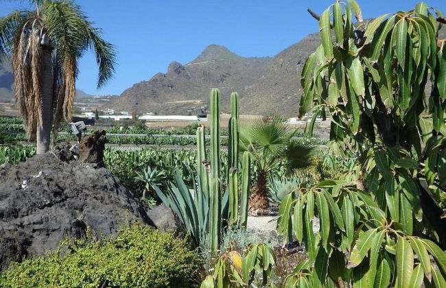 Belvilla by OYO Apartamento en Playa Las Carmenes - Foto 24