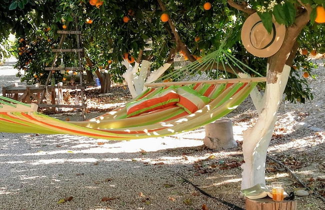 La Joya del Valle de Ricote - Photo 31