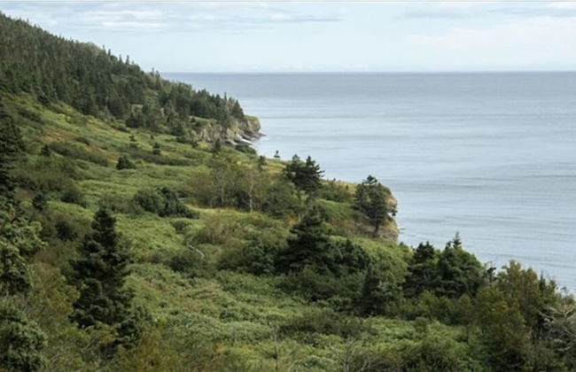 Chalets Nautika - Foto 34