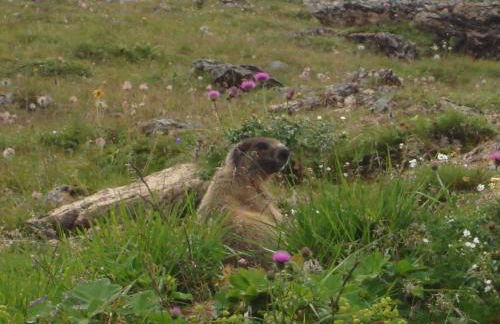 Sesvennahof - Foto 62