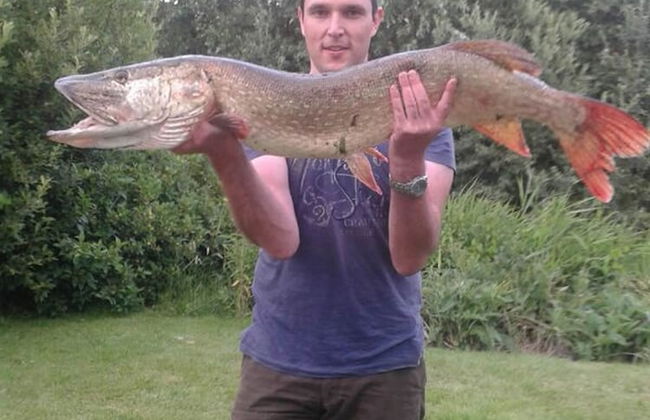 8 Pers Large Seaside Home in Front of the Lauwersmeer - Foto 18