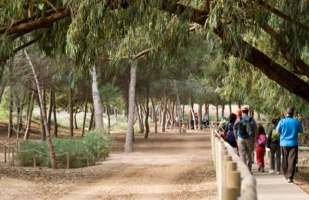 Blue house 1ª linea playa - Foto 54