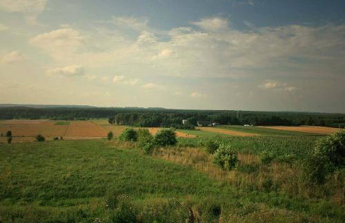 Chata Kurpiowska - Foto 35