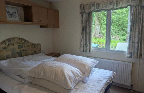 Family-Friendly Woodland Caravan Pool & Bar - Foto 10