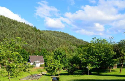 Le Gîte de l'Ecureuil - Foto 2