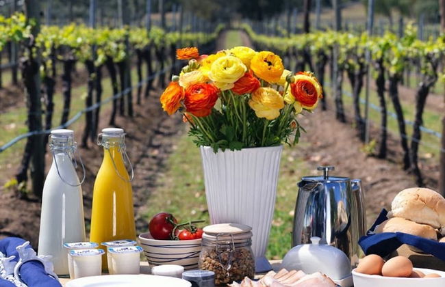 Winmark Wines - Foto 32