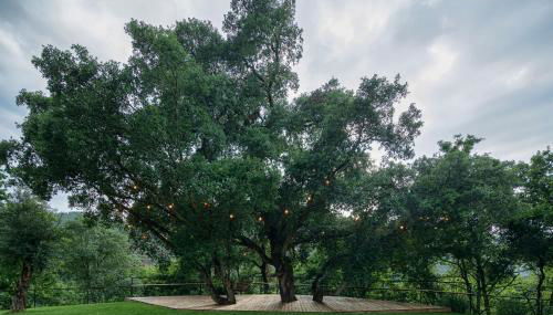 Casa do Rio - Foto 5