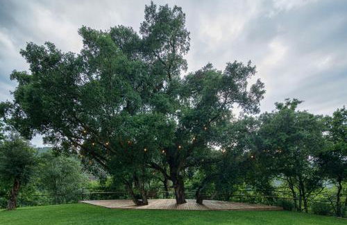 Casa do Rio - Foto 5