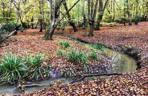 Modern Studio with parking in shared garden - Foto 15