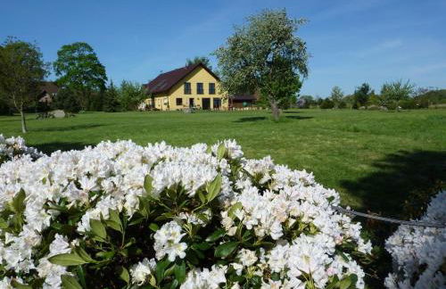 Carol's Country-House - Photo 8