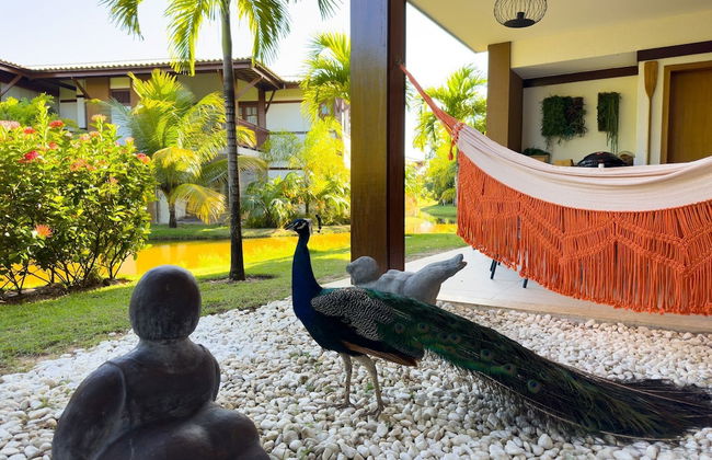 Maruwá - AP das Gordinhas - Photo 43