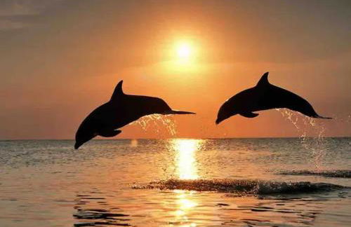 Florida Home with private heated Pool, close to Siesta Key Beach - Foto 3