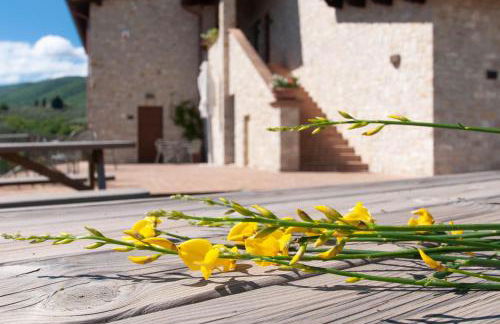 Agriturismo Molino Verde - Foto 20