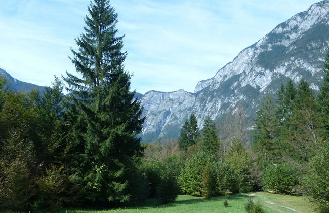 Balmy Apartment in Bohinjsko Jezero near Lake - Foto 11