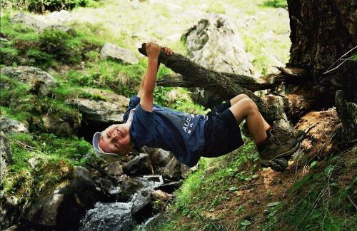 Tötscherhof - Foto 16