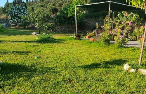 Elena's country house - Foto 15